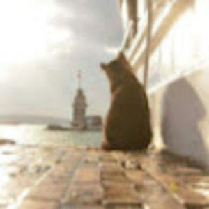 Meet your Posher, Daeun